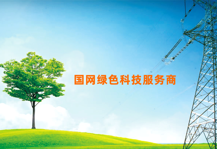 打造“国网绿色科技服务商”标杆