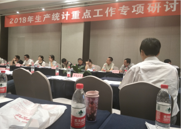 国网公司生产统计重点工作专项研讨会